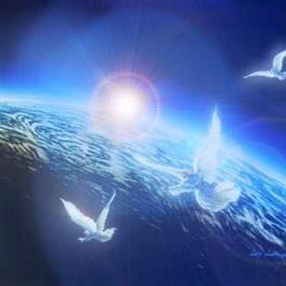 Meet your Posher, Dorian